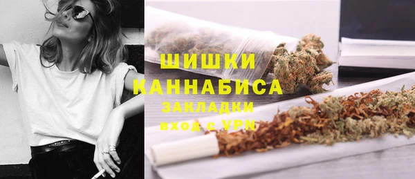 ПСИЛОЦИБИНОВЫЕ ГРИБЫ Белоозёрский
