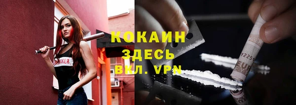 стаф Белокуриха