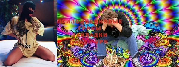 молекула духа Богородицк