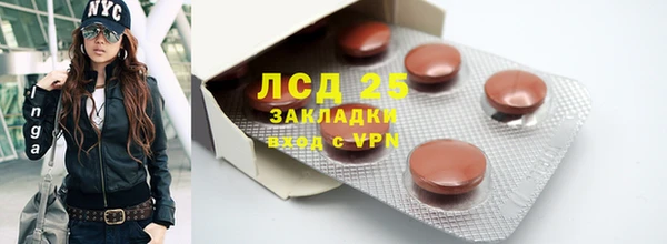 ПСИЛОЦИБИНОВЫЕ ГРИБЫ Белоозёрский