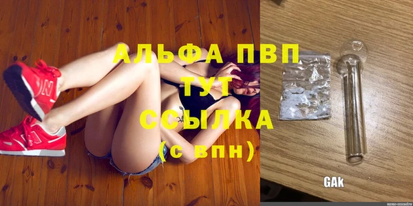 ПСИЛОЦИБИНОВЫЕ ГРИБЫ Белоозёрский