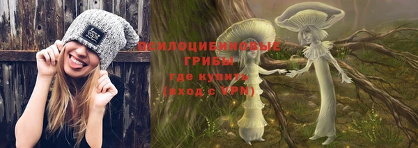 стаф Белокуриха