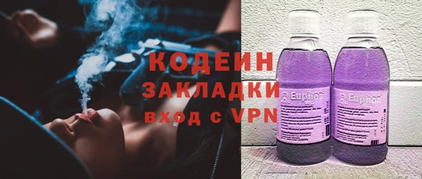 молекула духа Богородицк