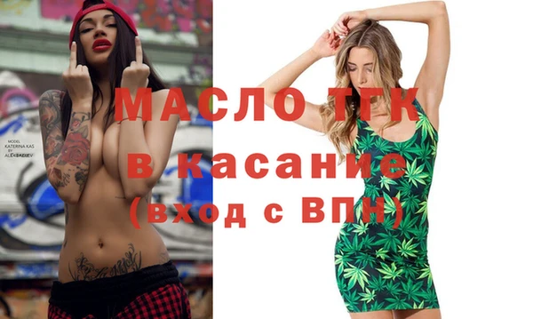 молекула духа Богородицк