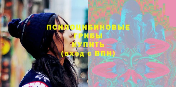 молекула духа Богородицк