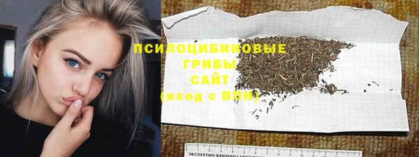 ПСИЛОЦИБИНОВЫЕ ГРИБЫ Белоозёрский
