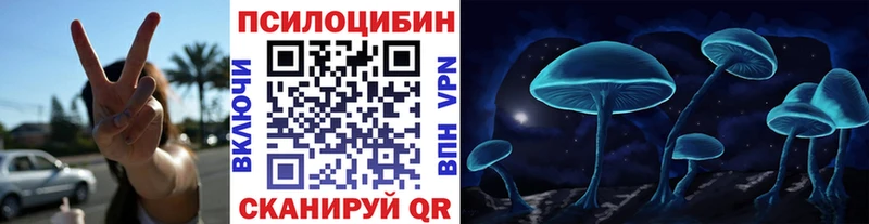 купить наркотики сайты  Троицк  Псилоцибиновые грибы Psilocybine cubensis 
